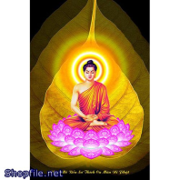 Bổn Sư Thích Ca Mâu Ni Phật